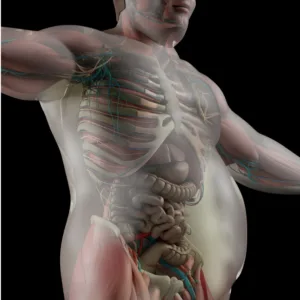 Grasdaban: la revolución natural de Clínica Baños para una vida más ligera y saludable